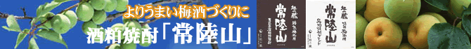酒粕焼酎 常陸山